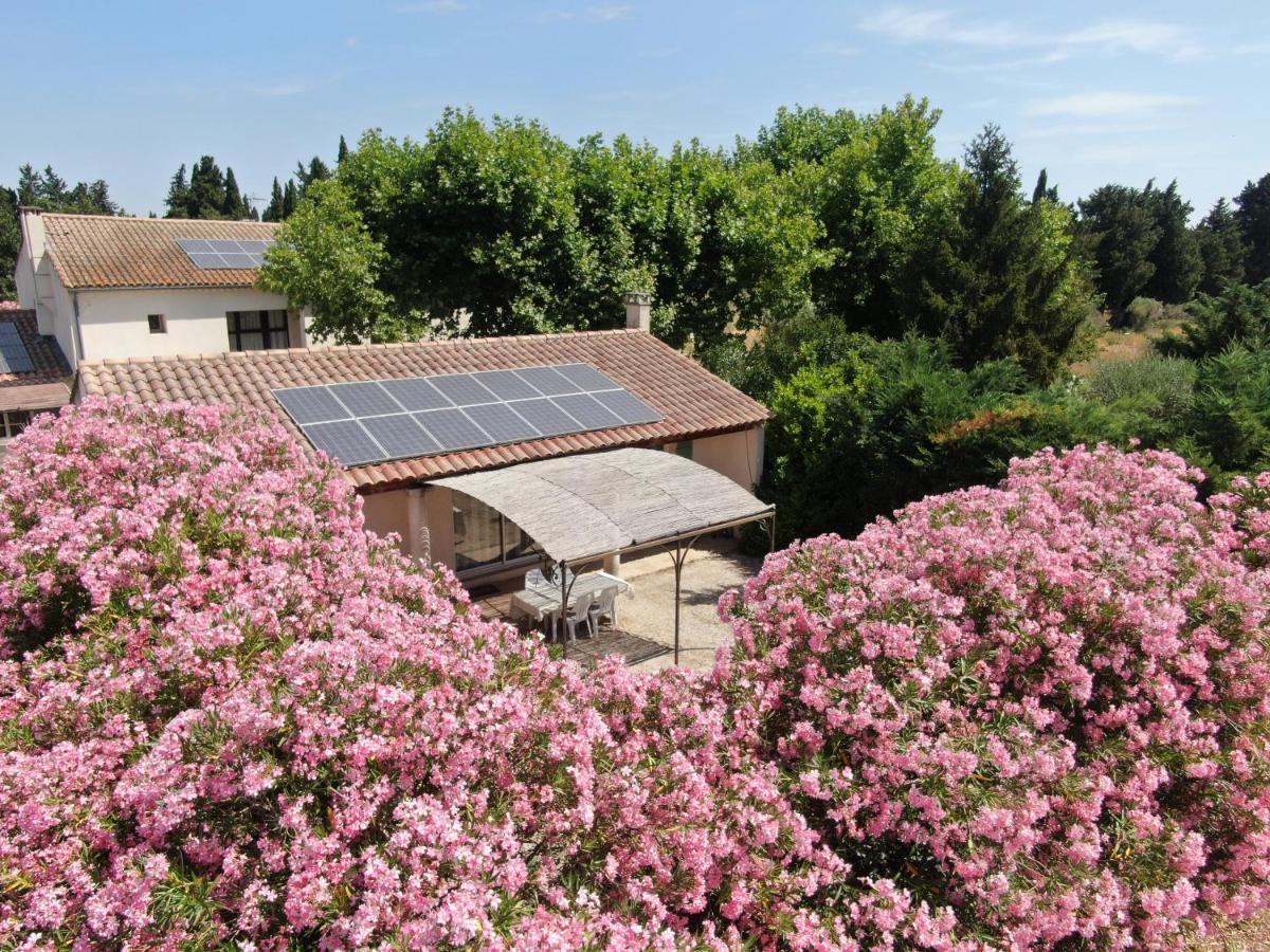 Les Gites Du Mas Canillac 沙托勒纳尔 外观 照片